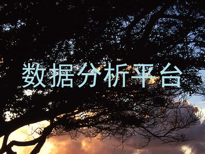 数据分析平台
