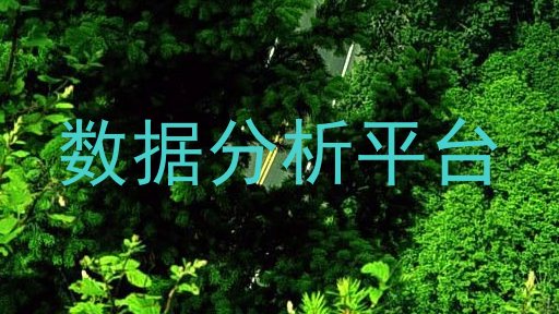 数据分析平台