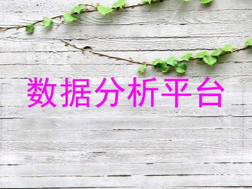 数据分析平台