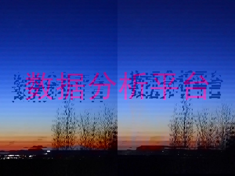 数据分析平台