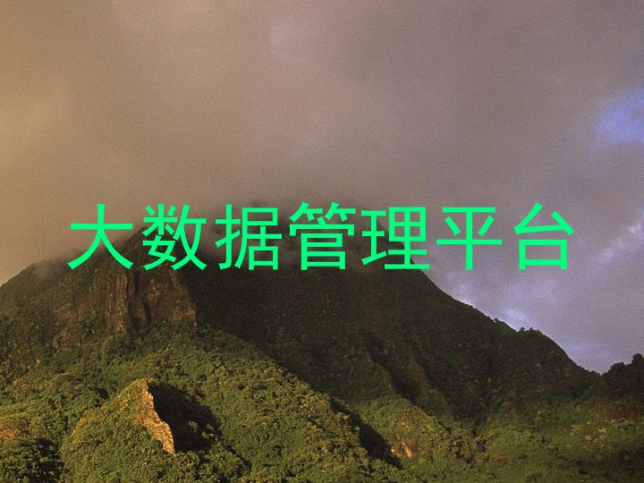 大数据管理平台