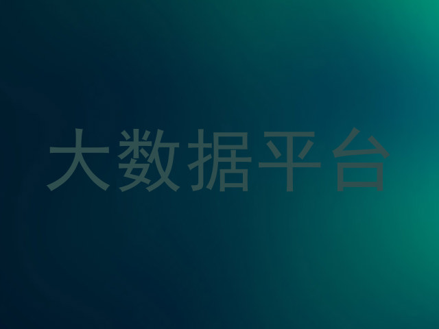 大数据平台