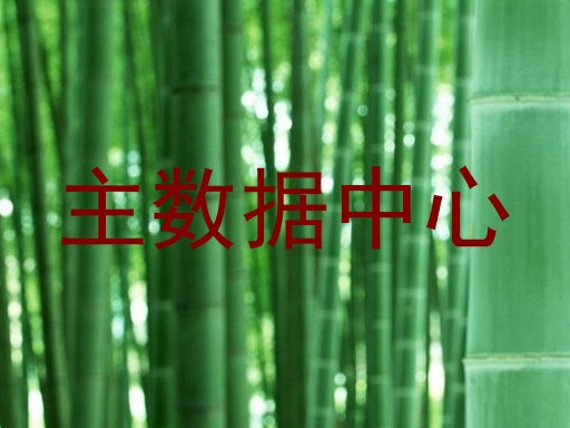 主数据中心