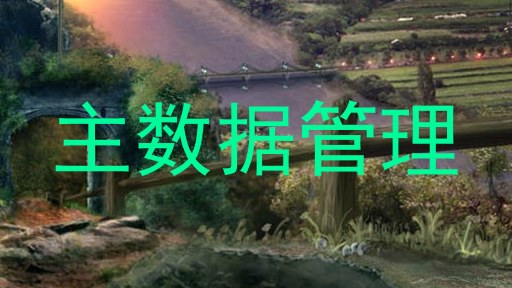 主数据管理