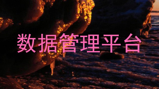 数据管理平台