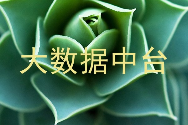 大数据中台
