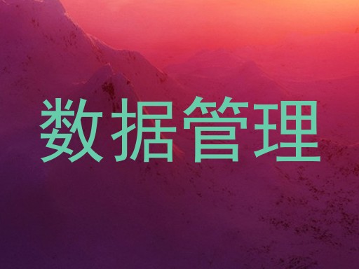 数据管理