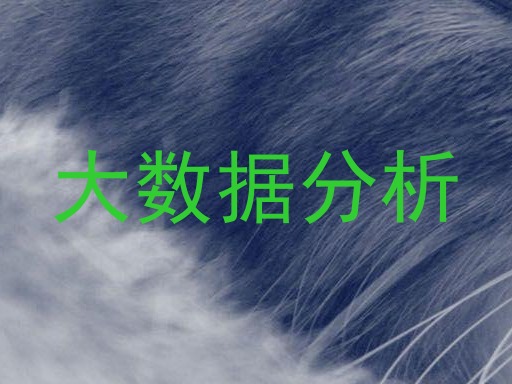 大数据分析