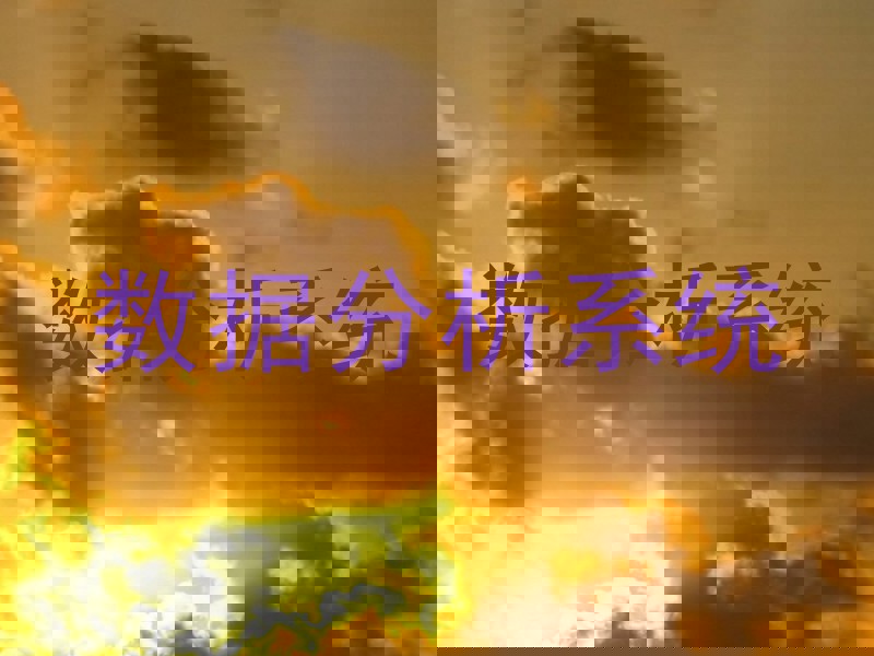 数据分析系统