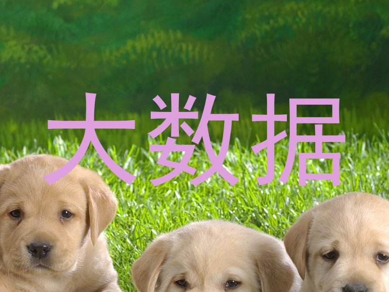 大数据