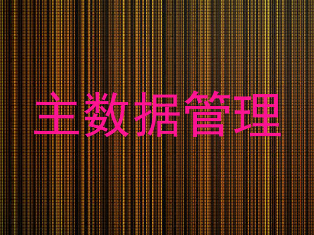 主数据管理
