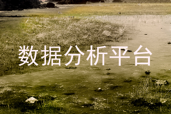 数据分析平台