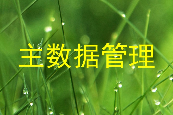 主数据管理