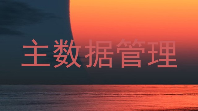 主数据管理