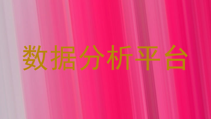 数据分析平台