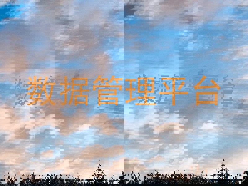 数据管理平台