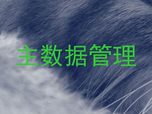 主数据管理