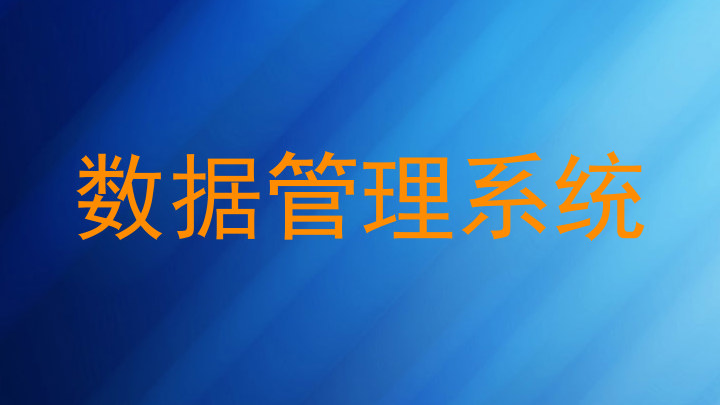 数据管理系统