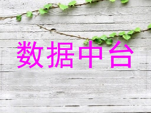 数据中台