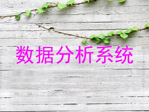 数据分析系统