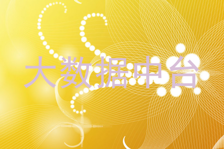 大数据中台