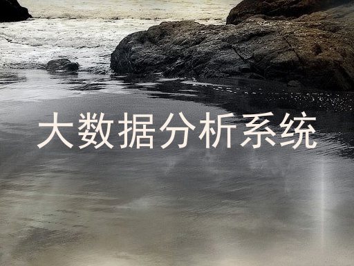大数据分析系统