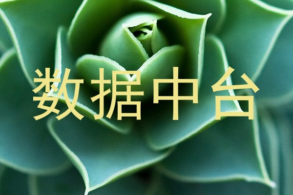 数据中台