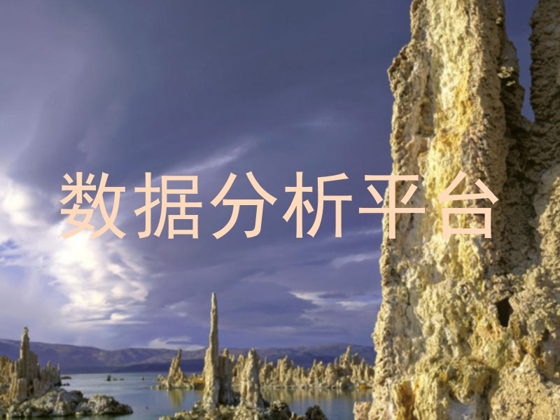 数据分析平台