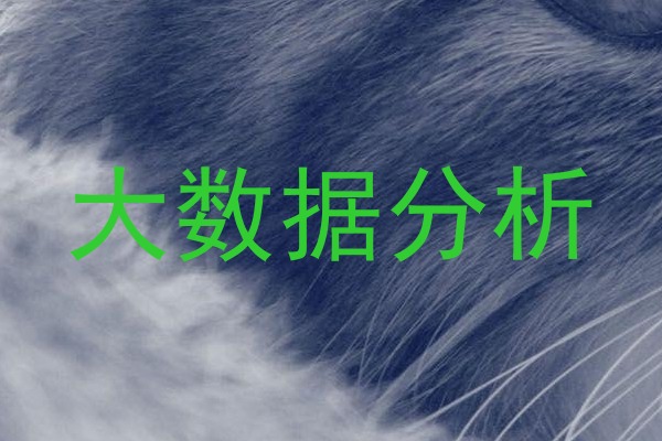 大数据分析