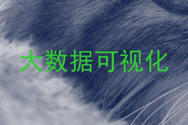大数据可视化