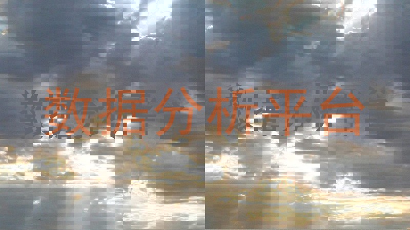 数据分析平台