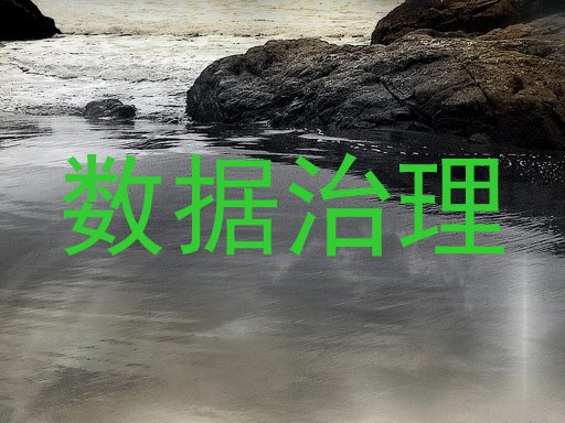 数据治理