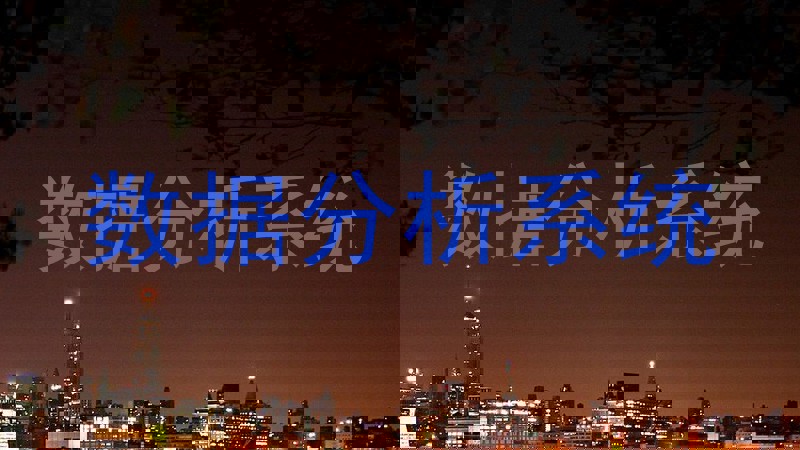 数据分析系统