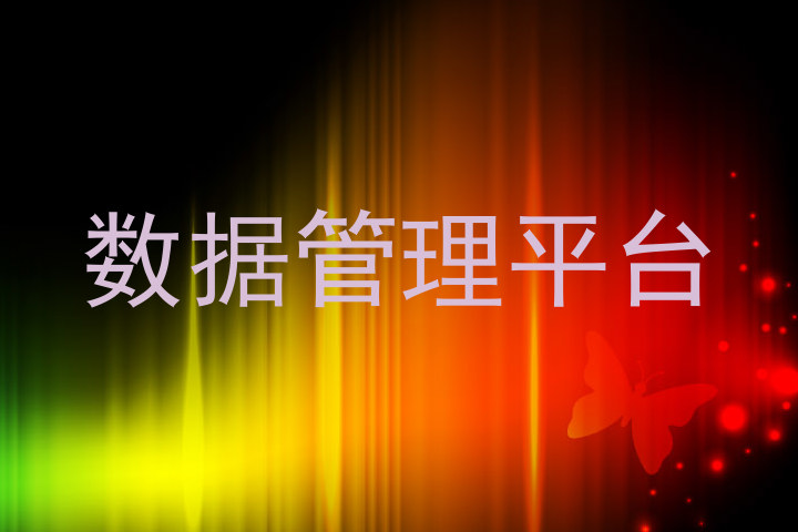 数据管理平台