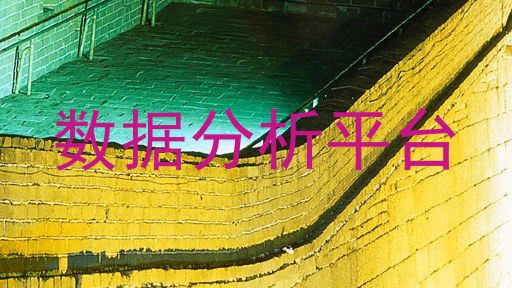 数据分析平台