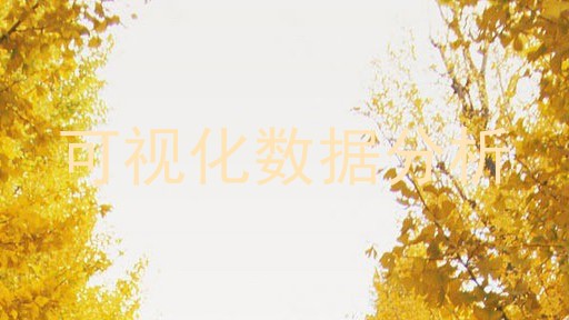 可视化数据分析