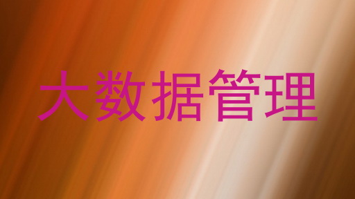 大数据管理