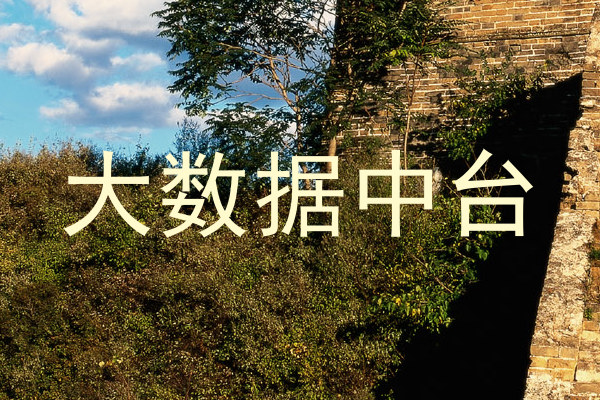 大数据中台