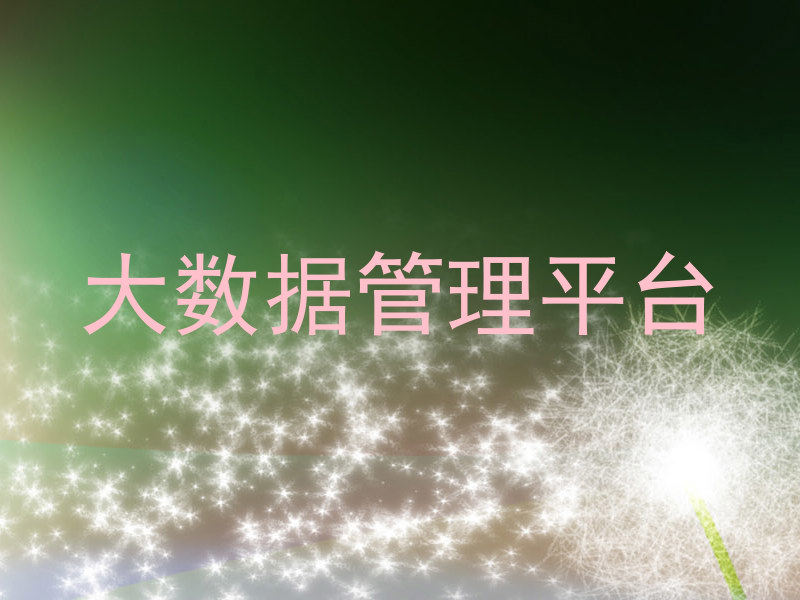 大数据管理平台