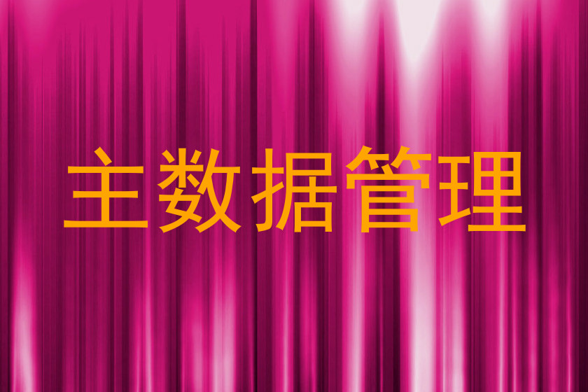 主数据管理