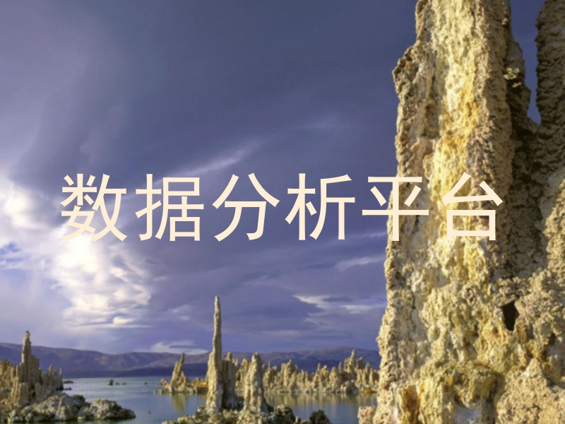 数据分析平台