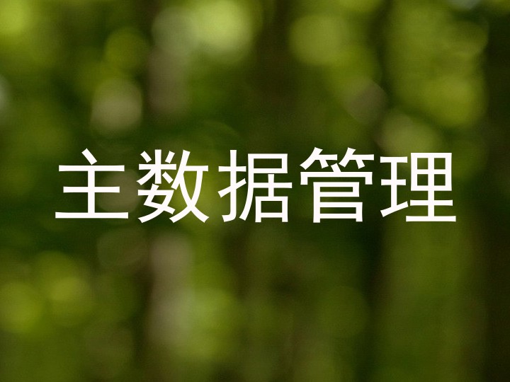主数据管理