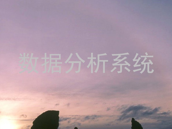 数据分析系统