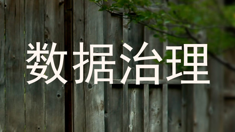 数据治理