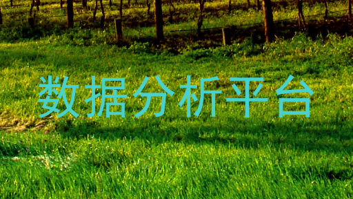 数据分析平台