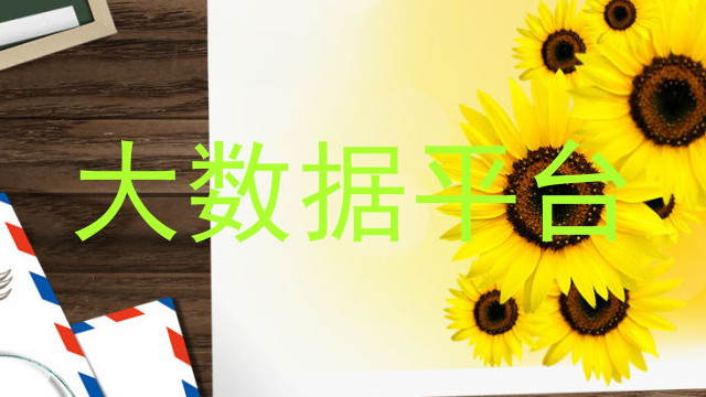大数据平台
