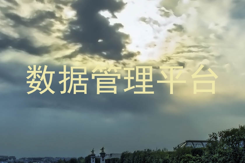 数据管理平台