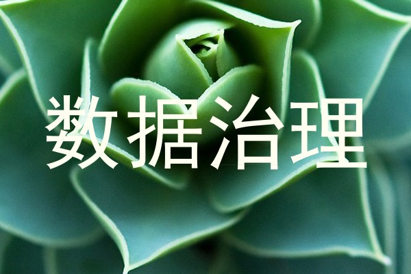 数据治理