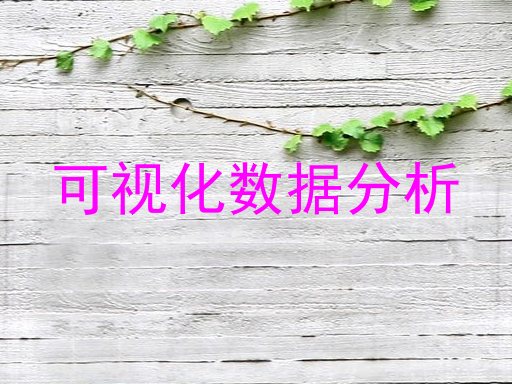 可视化数据分析