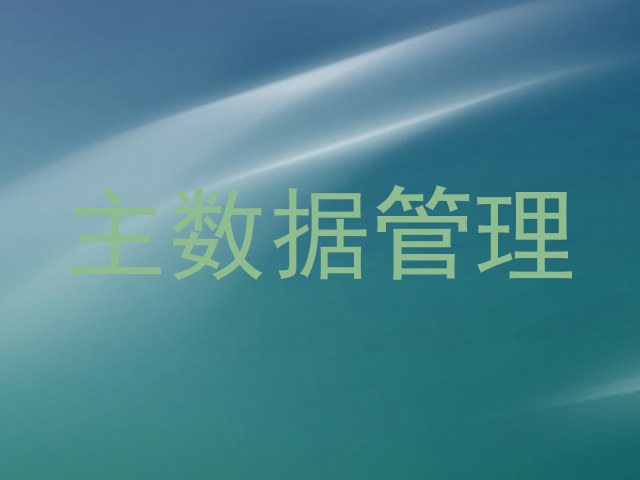 主数据管理